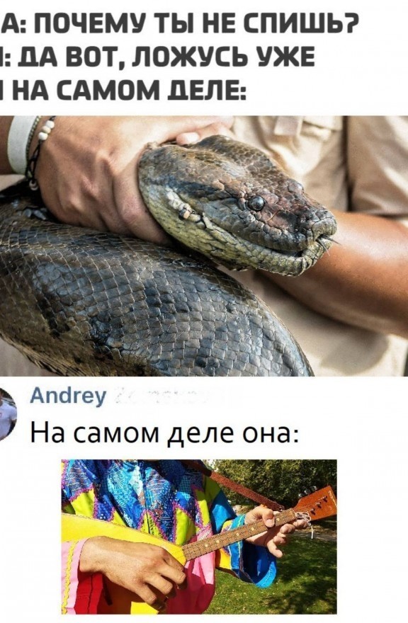 Пятница. И немного слегка пошлых картинок с надписями и без 16+ (12.02)