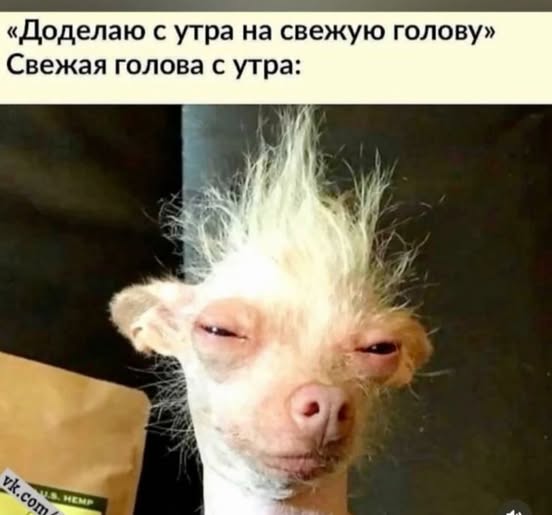 Воскресные картинки