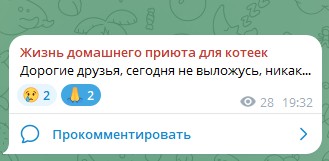 Жизнь домашнего приюта для котеек 563