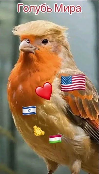 Трамп считает Кубу своей следующей целью после Ирана