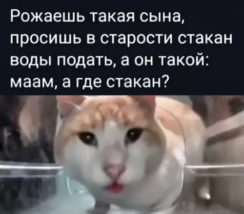 Картиночки, баянчики 06 марта