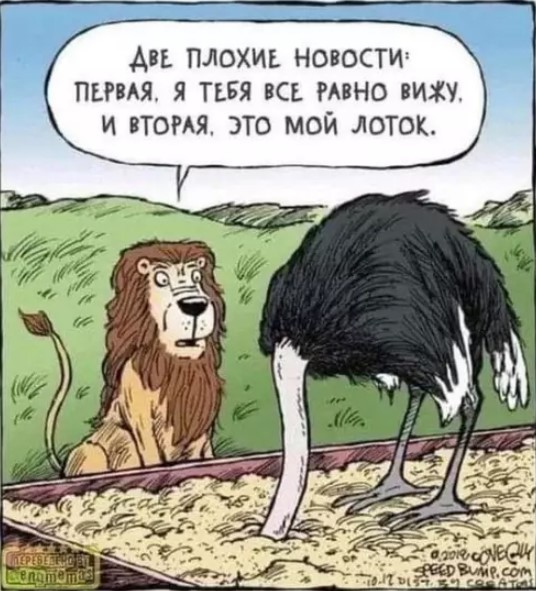 Картиночки, баянчики 22 марта