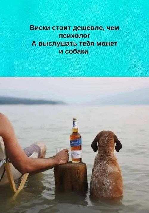 Картинки для деградации 250 (разной степени свежести)