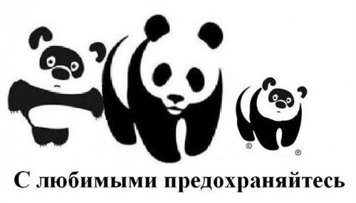 У Вини днюха