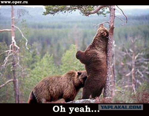 Злата хочет хорошо устроиться