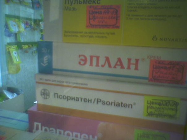 Жизнь вокруг меня