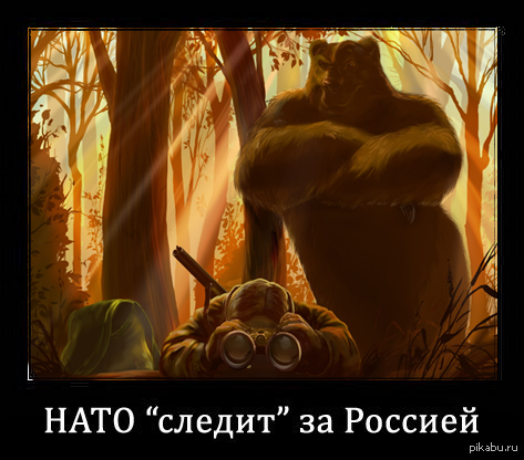 Меркель в печали о "Дональде Куке"