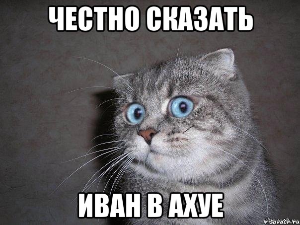 Неведомая фигня лазающая по стенам домов
