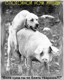 Не палимся