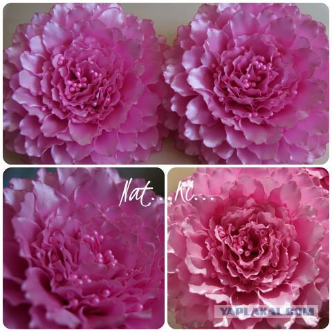 Красивое увлечение супруги