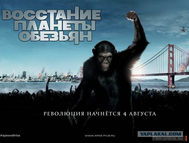 Дятлы ржут!