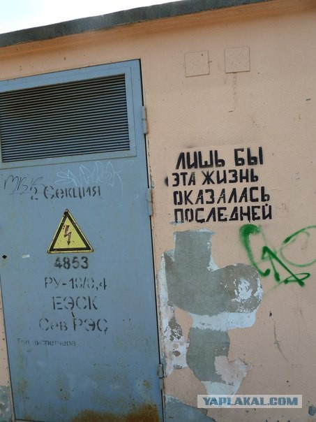 Что бы выбрали вы?