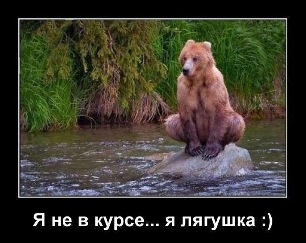Картинки,ужасы,приколы из интернета,и соц.сетей