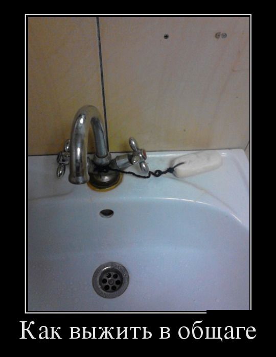 Забавные картинки из Сети