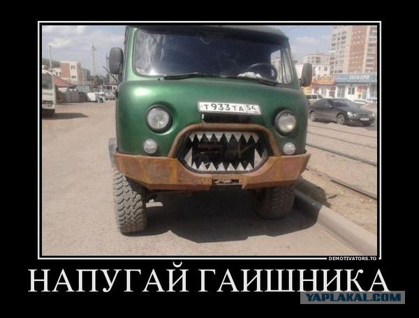 Исчезающая собака