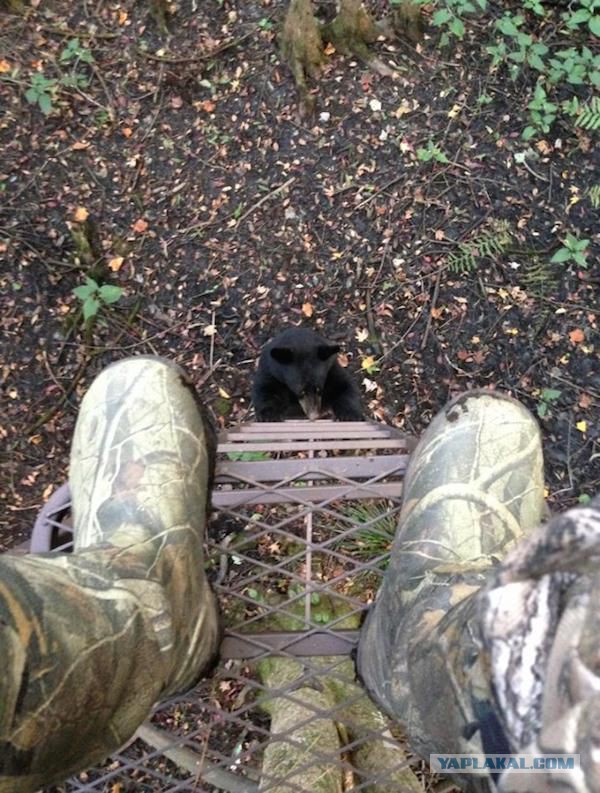 Неприятности разные, подборка. ч.2