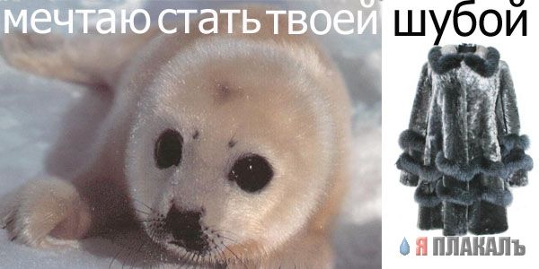 СОЦИАЛЬНАЯ и антисоциальная реклама