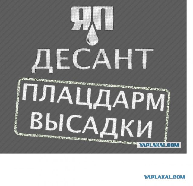 Благовещенцы собирают подписи, желая наказать подростков, сбросивших кошку с 10 этажа