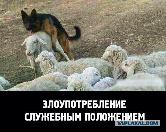 Неудобные вопросы про РПЦ