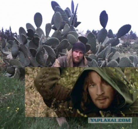 Сергей Морозов. Самарец, погибший, освобождая Пальмиру