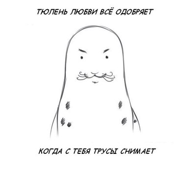Тюлень запрыгнул в лодку спасаясь от косаток