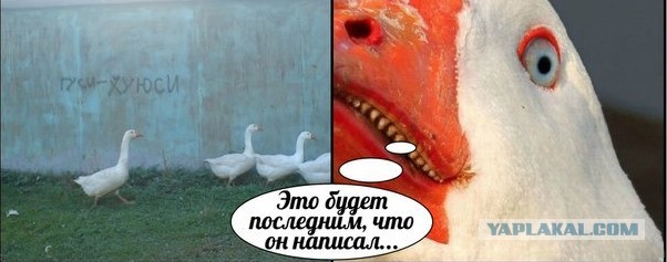Фото из конкурса на самую смешную фотографию дикой природы