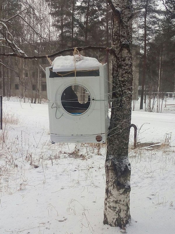 Порция картинок