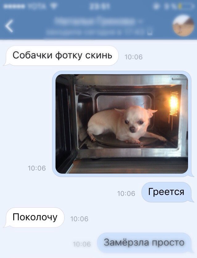 Мужчина сжёг лицо своей девушке, приревновав из-за фото собаки