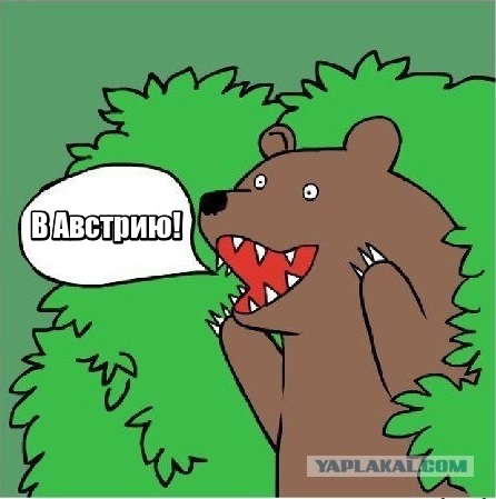 Дамы, а вам слабо?