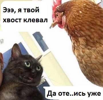 Картинки. Тупые. Очень. 18+ продолжение