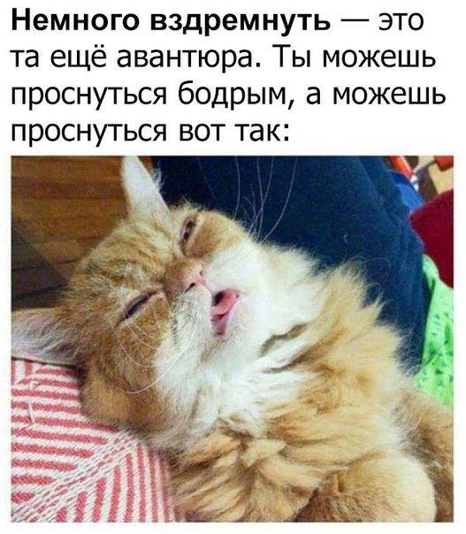 Подборка интересных и веселых картинок