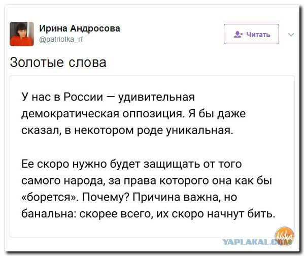 Александр Роджерс: Навальный. Итоги — жалкая, ничтожная личность