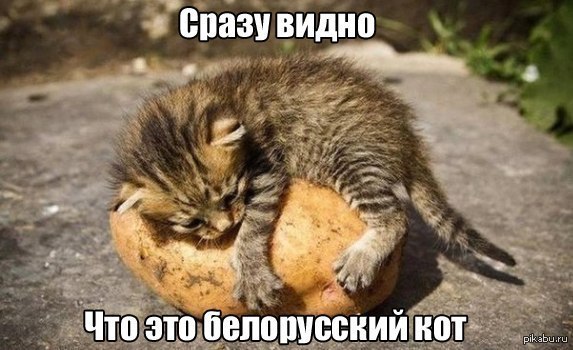 "Почему к белорусам везде относятся хорошо"