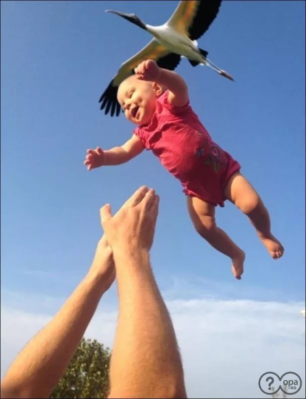 Снимки, сделанные в нужный момент