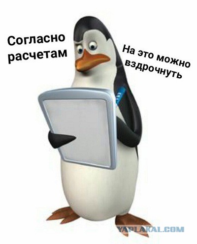 Симпотишные, прозрачные