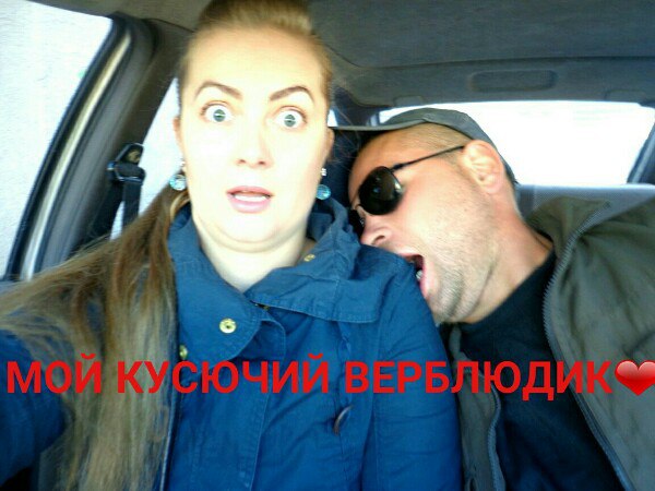Скотсети и прочие интернеты 23.04.18