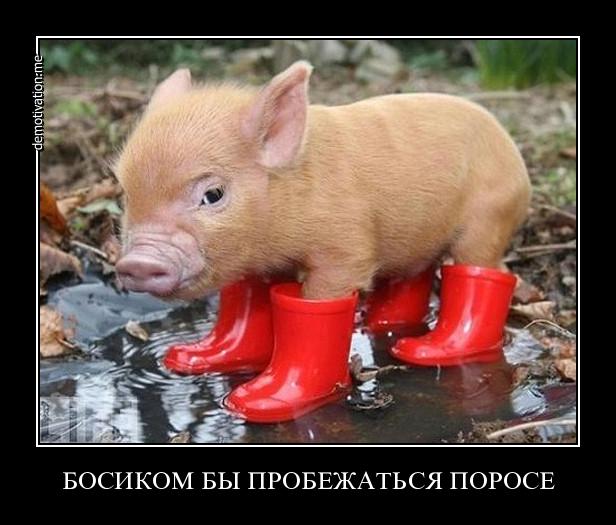 Мы сами убиваем родной язык