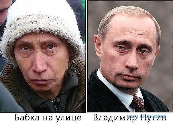 Кошка Люси Лью