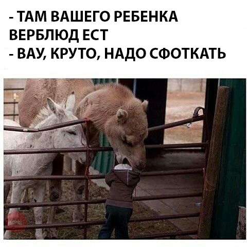 Анекдоты, соц-сети и картинки с надписями