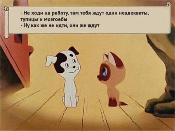 Переехал жить на дачу, сдал квартиру: как изменилась моя жизнь