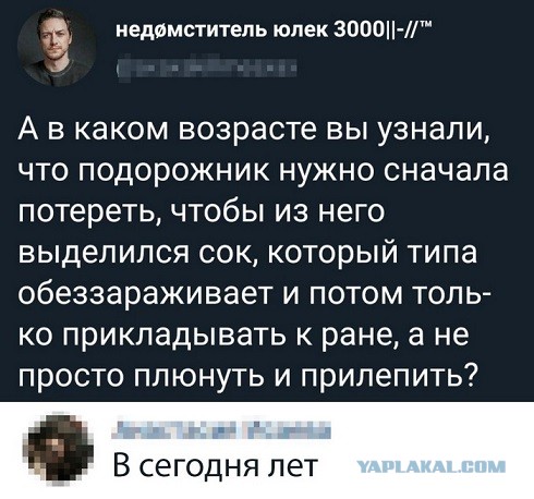 Картинки с надписями и анекдоты