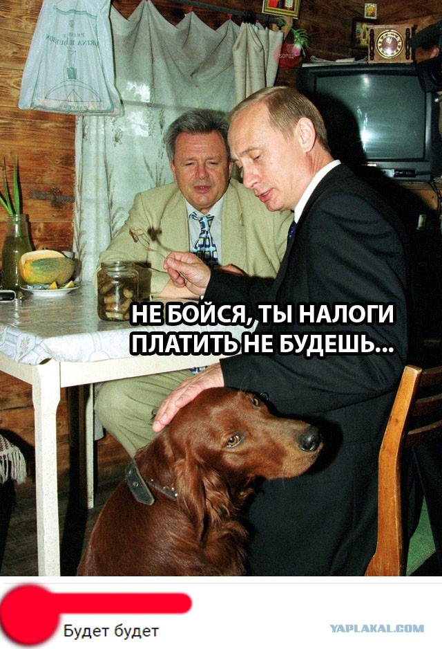 В ответ на тему о подъеме собираемости налогов