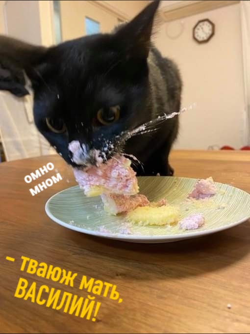 Картинок немного 25.12.19