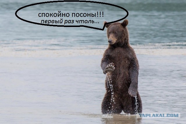 Канадские борцухи