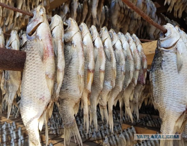 10 продуктов, которые были только в СССР