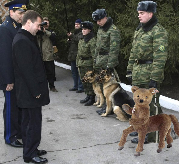 Фотожаба:Неведома зверюшка