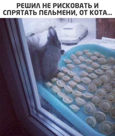Немного картинок для настроения 12.11.20
