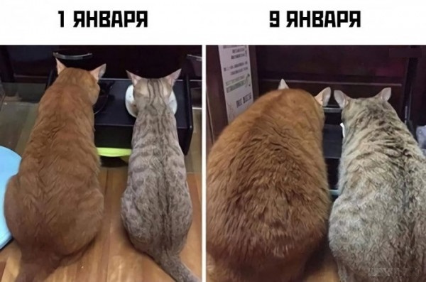 15087759.jpg