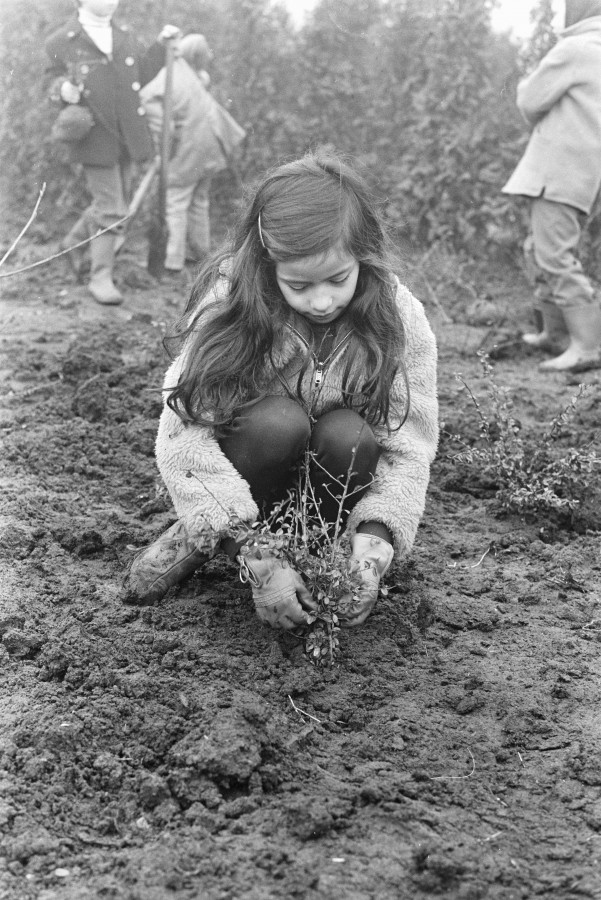50 лет назад. Февраль 1971 года