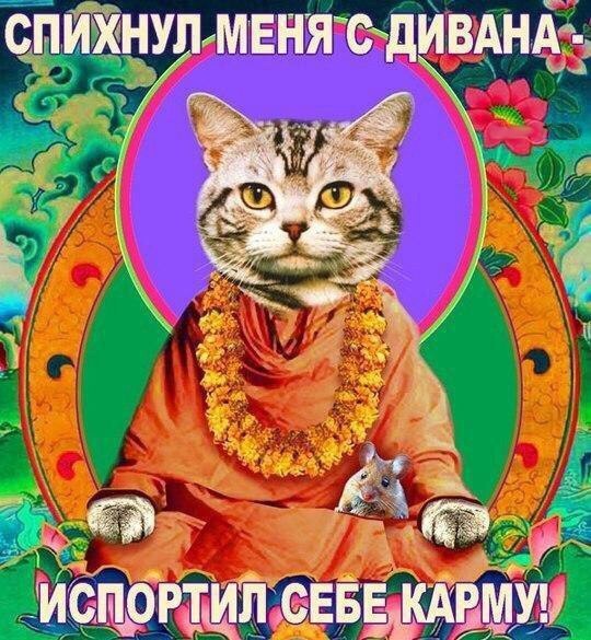 Весёлый полтишок 28.02